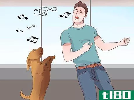 Image titled Exercise With Your Dog Step 21