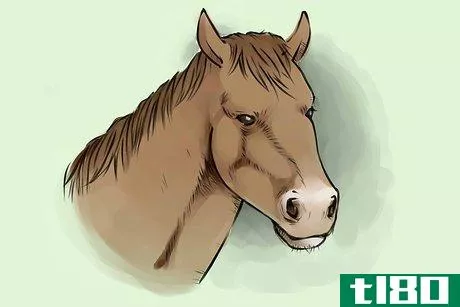 Image titled Draw a Horse Step 21