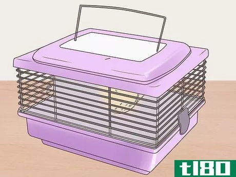 Image titled Desex a Pet Rat Step 4