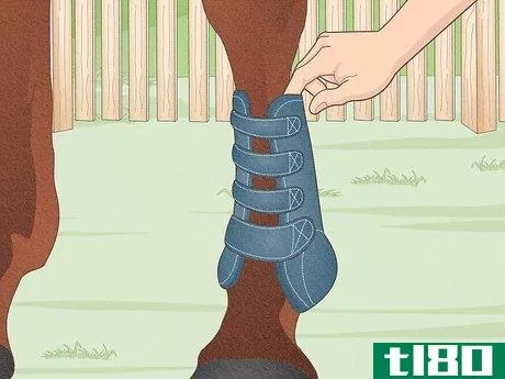 Image titled Fit a Horse for Support Boots Step 10