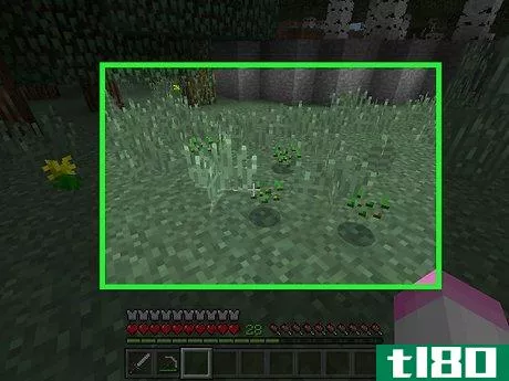 Image titled Farm Crops in Minecraft Step 1