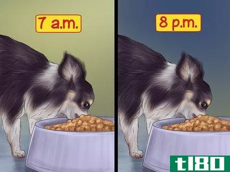 Image titled Feed Picky Chihuahuas Step 10