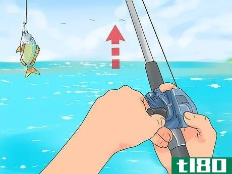 Image titled Fish a Drop Shot Rig Step 12