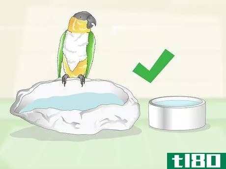 Image titled Feed a Caique Parrot Step 9