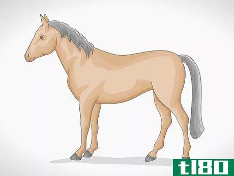 Image titled Draw a Simple Horse Step 17