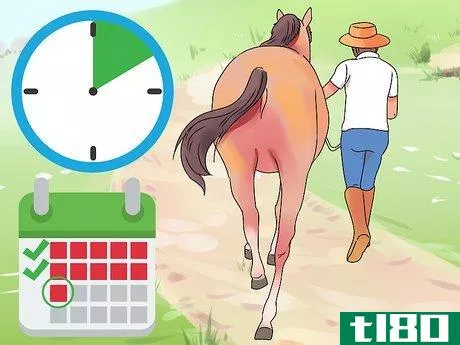 Image titled Feed a Starving Horse Step 16