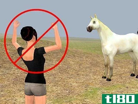 Image titled Easily Catch Your Horse Step 2