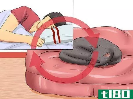 Image titled Encourage Your Cat to Go to Sleep Step 8