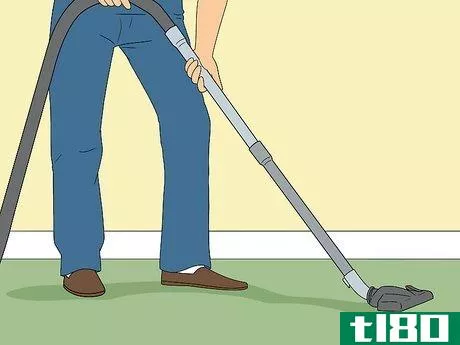 Image titled Do Pest Control With a Vacuum Cleaner Step 3