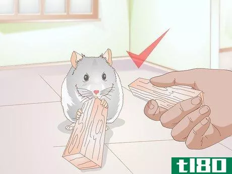 Image titled Diagnose Hamster Dental Problems Step 13