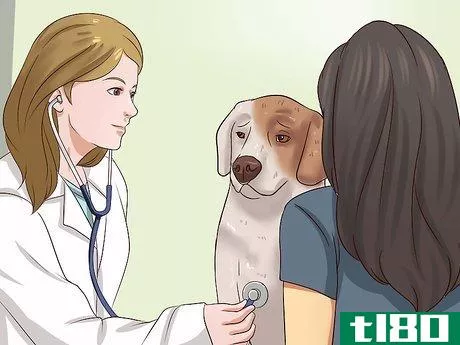 Image titled Get Dogs to Stop Barking Step 19