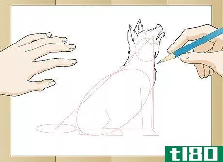 Image titled Draw a Realistic Wolf Step 17