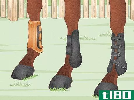 Image titled Fit a Horse for Support Boots Step 1