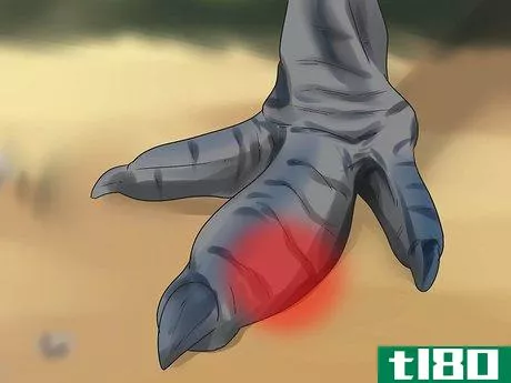 Image titled Diagnose Illness in an Emu Step 10