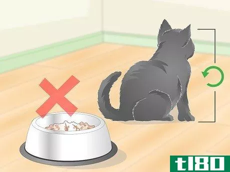 Image titled Eliminate Roundworms in Cats Step 3