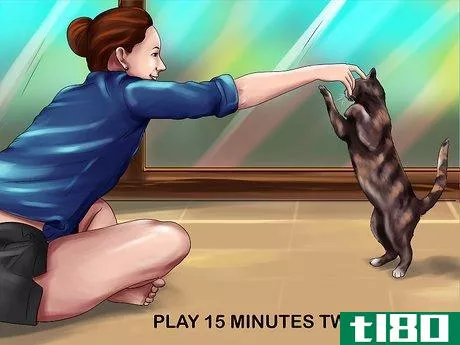 Image titled Encourage Your Cat's Hunting Instinct Step 5
