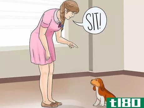 Image titled Exercise Your Puppy Step 7