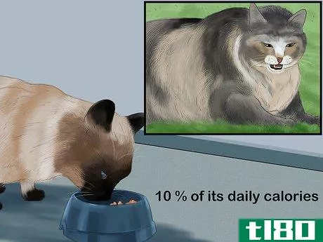 Image titled Diagnose and Treat Feline Bronchitis Step 11
