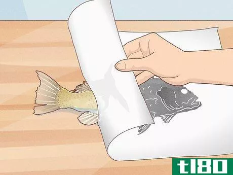 Image titled Do Gyotaku Fish Rubbing Step 14