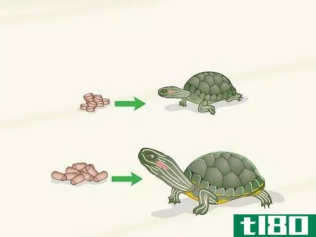 Image titled Feed a Red‐Eared Slider Turtle Step 3