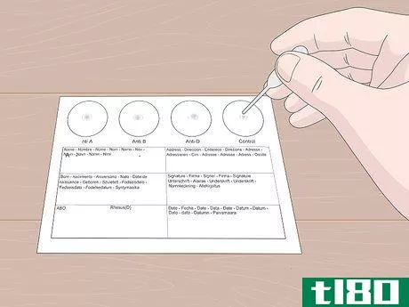 Image titled Find Out Your Blood Type at Home Step 3