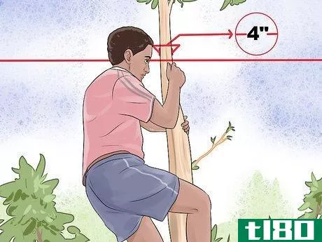 Image titled Free Climb a Tree Step 13