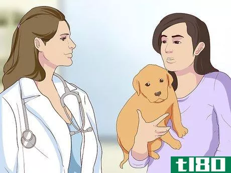 Image titled Diagnose Coughing in Dogs Step 5