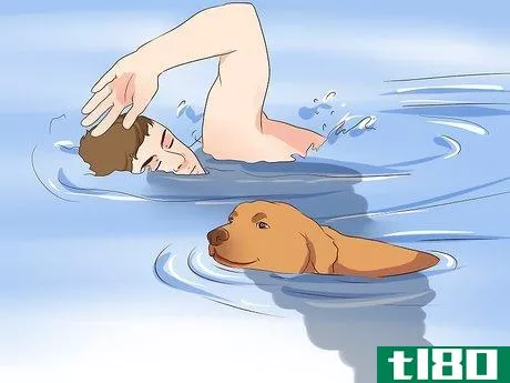 Image titled Exercise With Your Dog Step 13