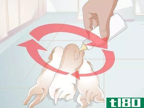 Image titled Feed Newborn Puppies Step 4