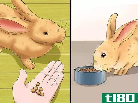Image titled Diagnose Dental Problems in Rabbits Step 8