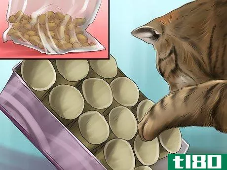 Image titled Feed a Cat Using Food Puzzles Step 9