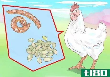 Image titled Feed Chickens Step 13