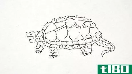 Image titled Draw a Turtle Step 35