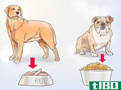 Image titled Feed Your Dog Naturally Step 14