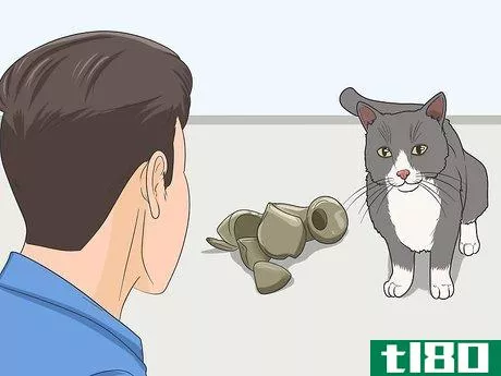 Image titled Gain a Cat's Trust Step 6