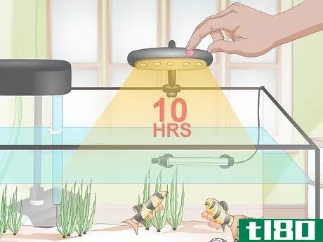 Image titled Do a Water Change in a Freshwater Aquarium Step 17