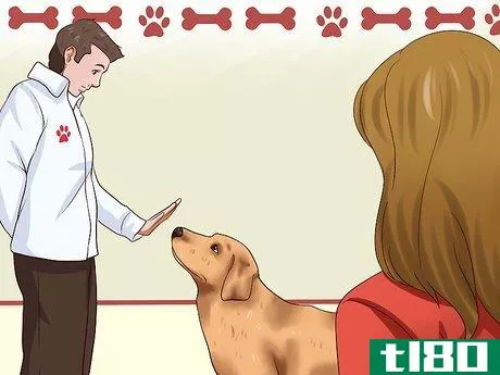 Image titled Get Dogs to Stop Barking Step 10