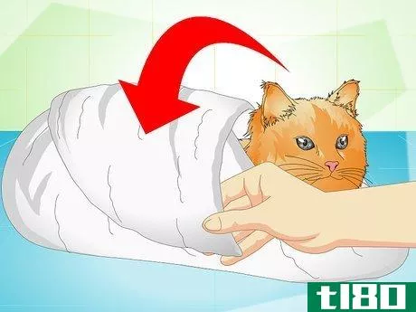 Image titled Deliver Ear Medication to Cats Step 8