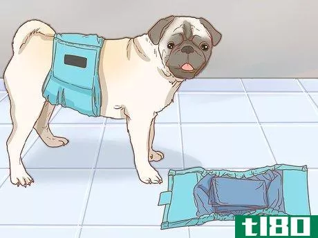 Image titled Diaper Your Dog with Disposable Dog Diapers Step 7