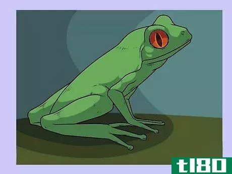 Image titled Draw a Frog Step 19