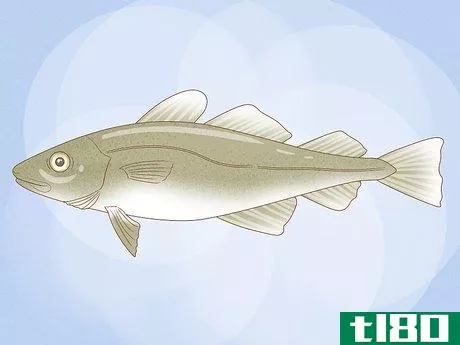 Image titled Eat Fish Sustainably Step 6