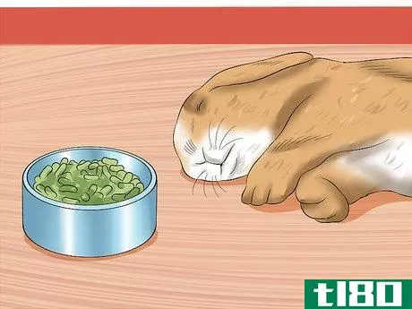 Image titled Diagnose Digestive Problems in Rabbits Step 2
