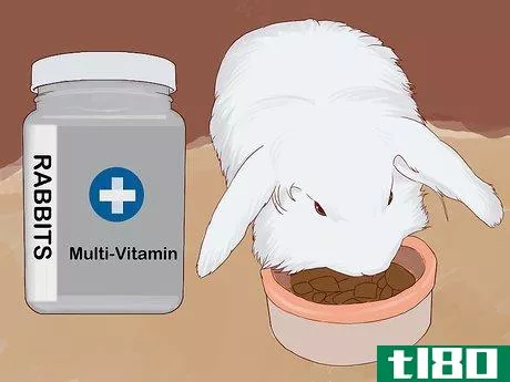 Image titled Feed Your Bunny Vitamins Step 4