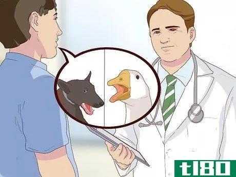 Image titled Diagnose Coughing in Dogs Step 6