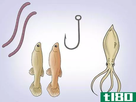 Image titled Fish for Flounder Step 6