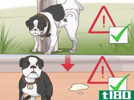 Image titled Determine if You Should Euthanize Your Dog Step 4