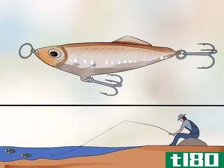 Image titled Fish for Bass Step 6