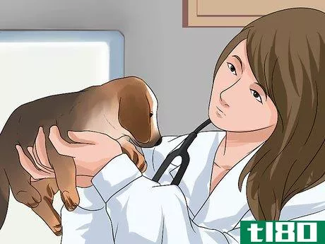 Image titled Diagnose Canine Infectious Hepatitis Step 7