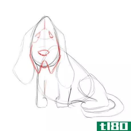 Image titled Basset hound face detail Step 5