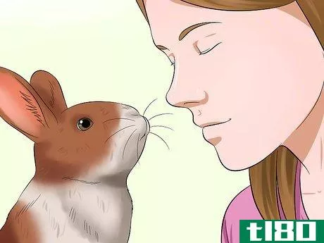 Image titled Diagnose Dental Problems in Rabbits Step 6